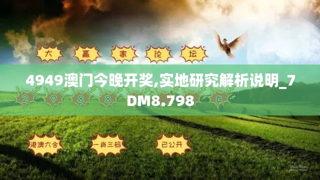 4949澳门今晚开奖,实地研究解析说明_7DM8.798