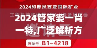 2024管家婆一肖一特,广泛解析方法评估_钱包版4.192