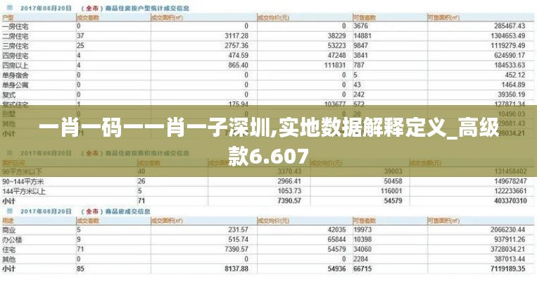 一肖一码一一肖一子深圳,实地数据解释定义_高级款6.607