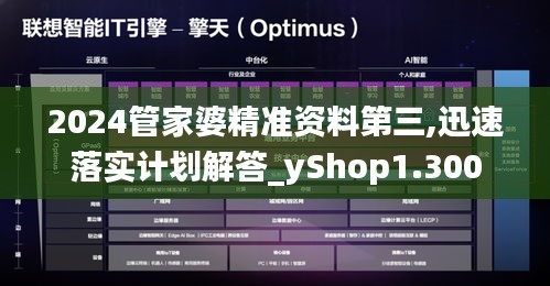 2024管家婆精准资料第三,迅速落实计划解答_yShop1.300