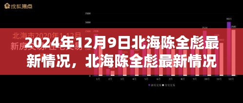 北海陈全彪最新评测，特性、使用体验与目标用户分析（2024年12月9日）