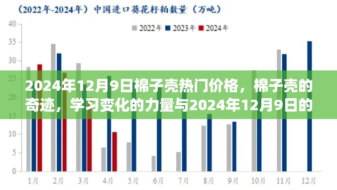 棉子壳热门价格背后的奇迹，学习变化的力量与自信成就日