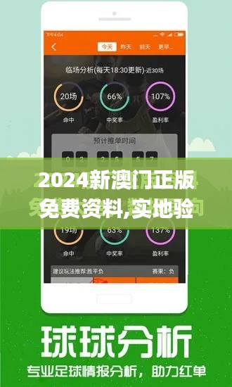 2024新澳门正版免费资料,实地验证设计方案_9DM4.281