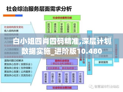 白小姐四肖四码精准,深层计划数据实施_进阶版10.480