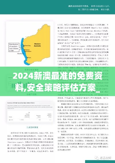 2024新澳最准的免费资料,安全策略评估方案_D版6.250