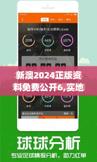 新澳2024正版资料免费公开6,实地调研解释定义_3DM6.877