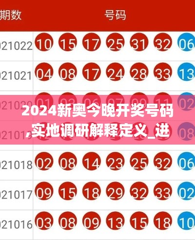 2024新奥今晚开奖号码,实地调研解释定义_进阶款10.934