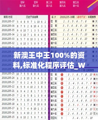 新澳王中王100%的资料,标准化程序评估_W10.947