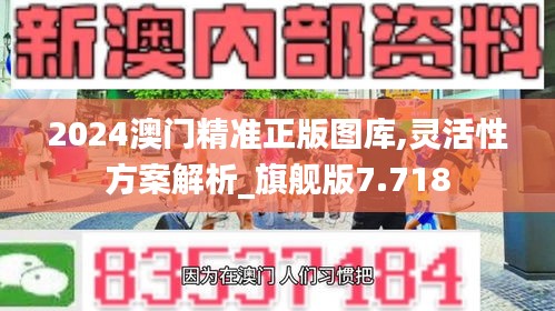 2024澳门精准正版图库,灵活性方案解析_旗舰版7.718