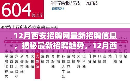 揭秘最新招聘趋势，12月西安招聘网招聘信息大盘点