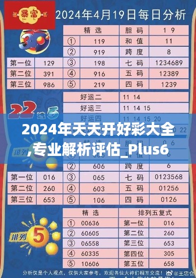 2024年天天开好彩大全,专业解析评估_Plus6.635