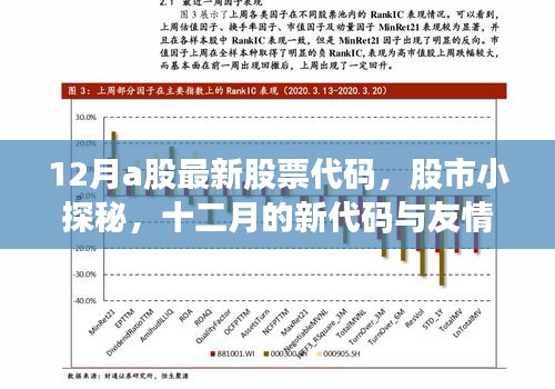 12月最新股票代码揭秘，股市小探秘与友情密码分享