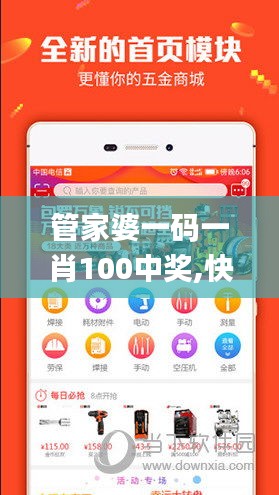 管家婆一码一肖100中奖,快速解答解释定义_set4.600