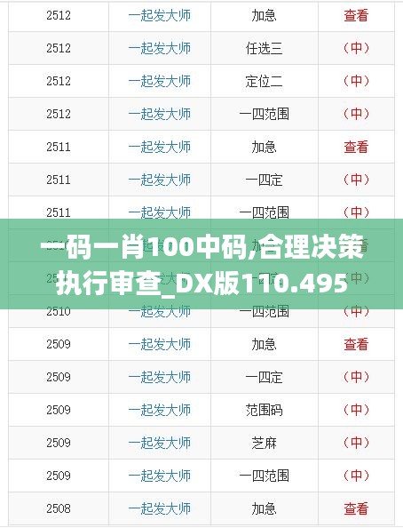 一码一肖100中码,合理决策执行审查_DX版110.495