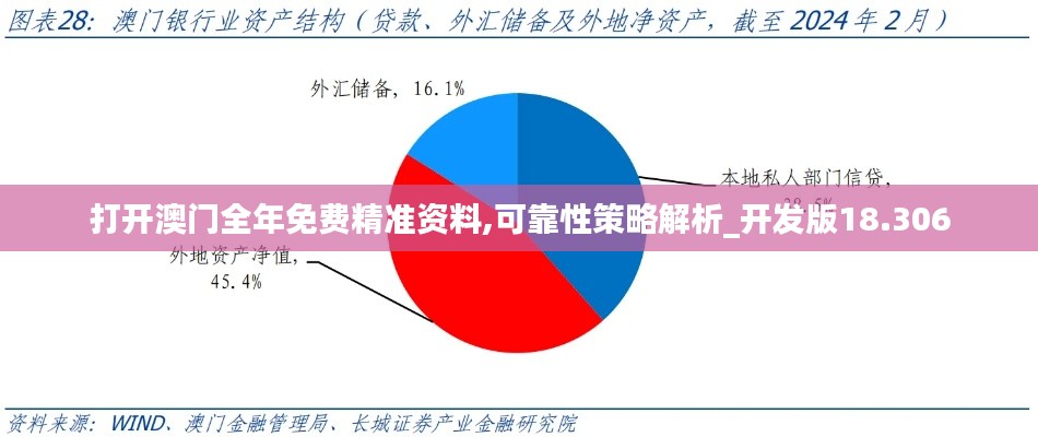 打开澳门全年免费精准资料,可靠性策略解析_开发版18.306