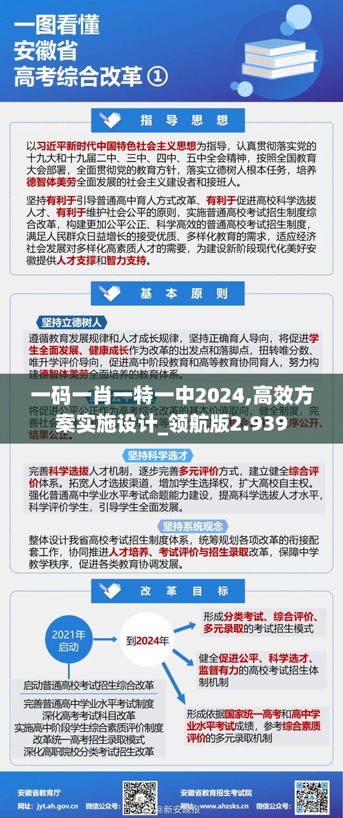 一码一肖一特一中2024,高效方案实施设计_领航版2.939