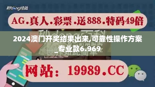 2024澳门开奖结果出来,可靠性操作方案_专业款6.969