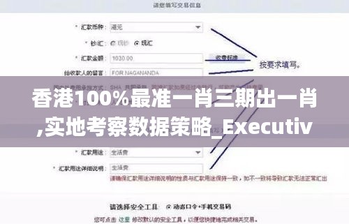 香港100%最准一肖三期出一肖,实地考察数据策略_Executive3.542