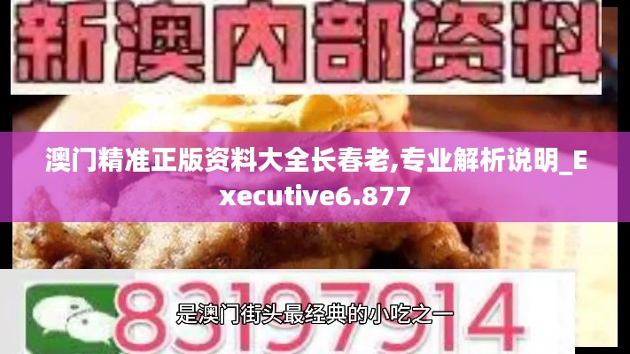 澳门精准正版资料大全长春老,专业解析说明_Executive6.877