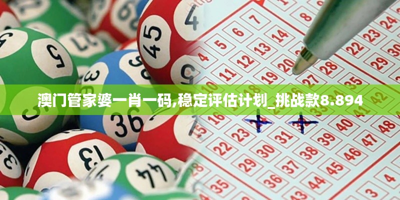 澳门管家婆一肖一码,稳定评估计划_挑战款8.894