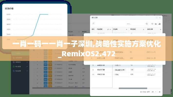 一肖一码一一肖一子深圳,战略性实施方案优化_RemixOS2.472