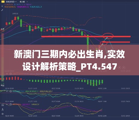 新澳门三期内必出生肖,实效设计解析策略_PT4.547