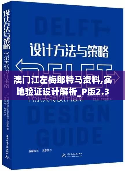 澳门江左梅郎特马资料,实地验证设计解析_P版2.372