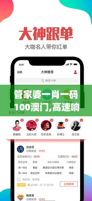 管家婆一肖一码100澳门,高速响应设计策略_WP版8.706