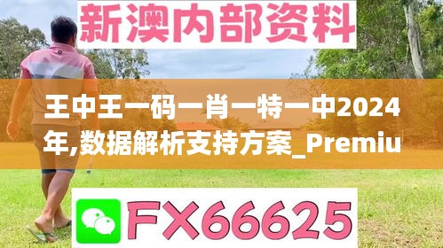 王中王一码一肖一特一中2024年,数据解析支持方案_Premium5.596