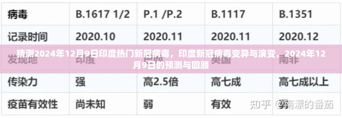 猜测2024年12月9日印度热门新冠病毒，印度新冠病毒变异与演变，2024年12月9日的预测与回顾