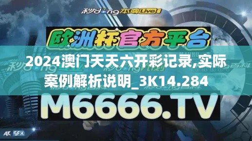 2024澳门天天六开彩记录,实际案例解析说明_3K14.284