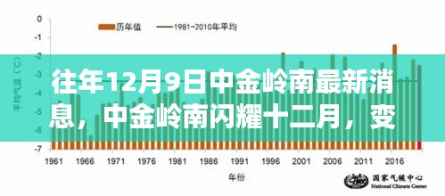 中金岭南十二月新动态，闪耀学习之旅，自信与成就感的源泉