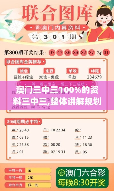 澳门三中三100%的资料三中三,整体讲解规划_eShop13.208