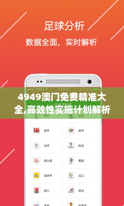 4949澳门免费精准大全,高效性实施计划解析_app10.658