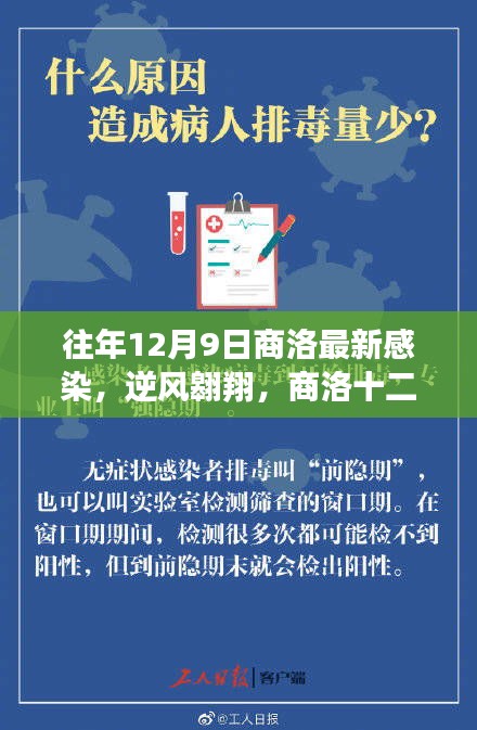 商洛最新感染状况，逆风翱翔的力量与转变