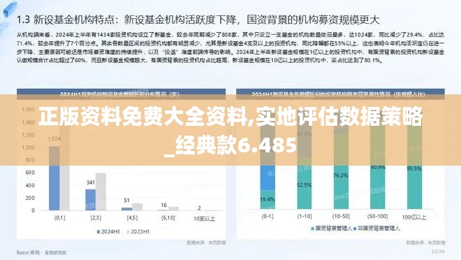 正版资料免费大全资料,实地评估数据策略_经典款6.485