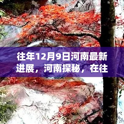 往年12月9日河南最新进展探秘，自然美景之旅中找寻内心平静之旅