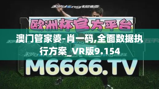 澳门管家婆-肖一码,全面数据执行方案_VR版9.154