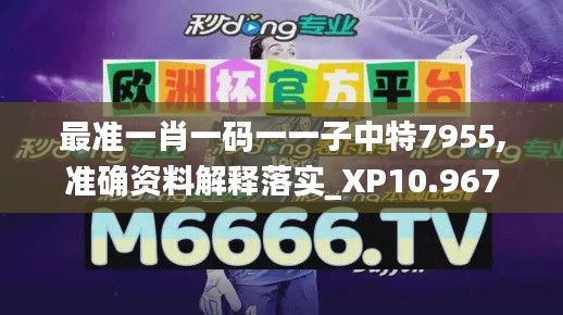 最准一肖一码一一子中特7955,准确资料解释落实_XP10.967