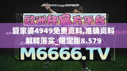 管家婆4949免费资料,准确资料解释落实_限定版8.579