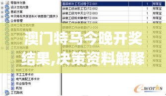 澳门特马今晚开奖结果,决策资料解释落实_MR5.404