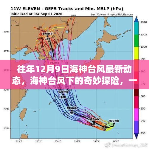 追寻内心平静的奇妙探险，海神台风下的十二月初旅行最新动态