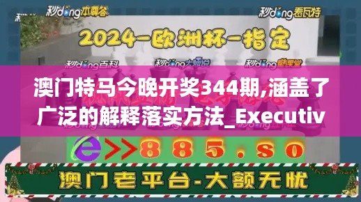 澳门特马今晚开奖344期,涵盖了广泛的解释落实方法_Executive9.937