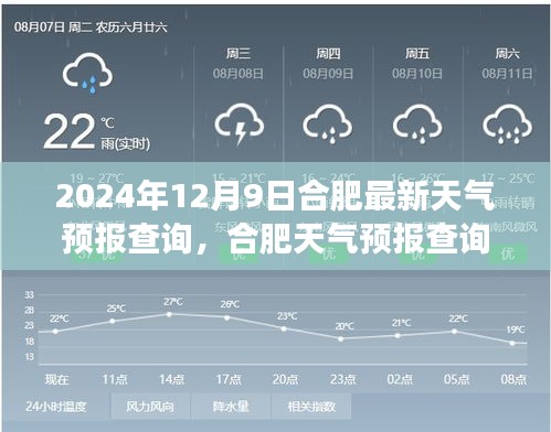 2024年12月9日 第6页