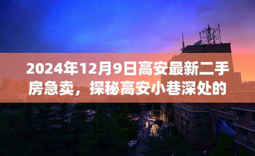 2024年12月9日高安最新二手房急卖，探秘高安小巷深处的特色小店，急售二手房背后的故事