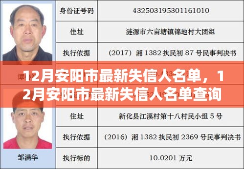 12月安阳市失信人名单全新发布，查询步骤指南（适用于初学者与进阶用户）