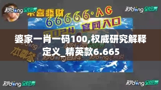 婆家一肖一码100,权威研究解释定义_精英款6.665