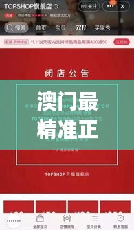 澳门最精准正最精准龙门客栈免费,实践性计划实施_yShop4.854