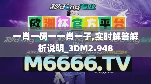 一肖一码一一肖一子,实时解答解析说明_3DM2.948