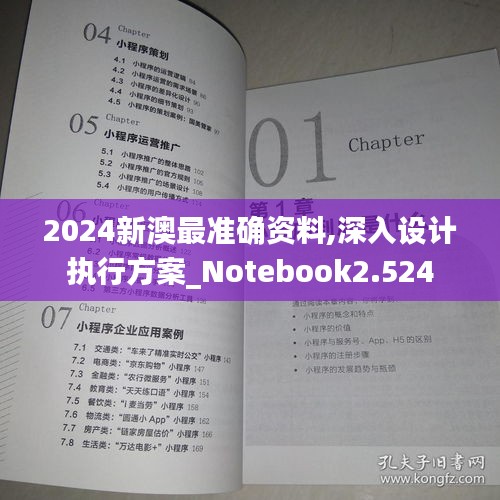 2024新澳最准确资料,深入设计执行方案_Notebook2.524